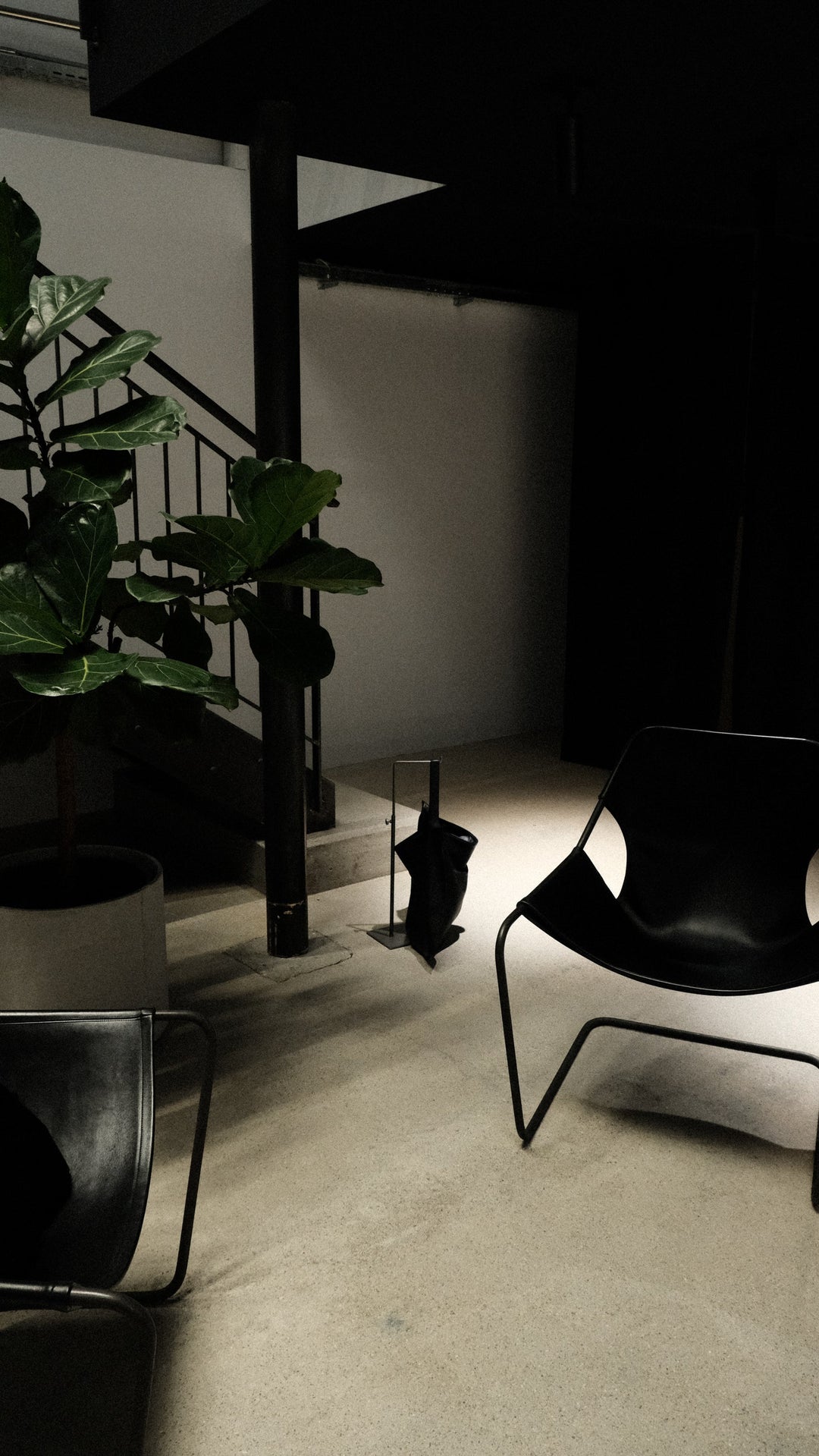 CASA VAYU x The Apartment Store
